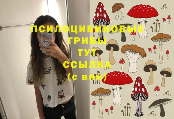 бошки Баксан