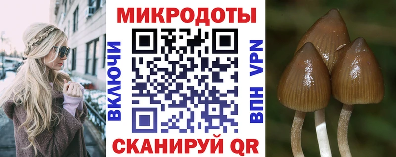 сколько стоит  Бугуруслан  Псилоцибиновые грибы мицелий 